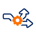 Flexible options